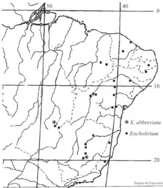 Figura 5. Distribuição do gênero Encholirium (Bromeliaceae) e de X. abbreviata. Dados de distribuição de Encholirium modificados de Smith &amp; Downs (1999).
