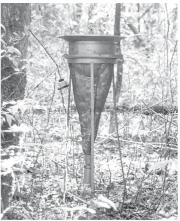 Figura 1. Armadilha de sucção elétrica (estacionária), modelo da Seção de Virologia do IAC, instalada no Horto Florestal de Tupi, Piracicaba-SP, setembro/1999 a setembro/2000.