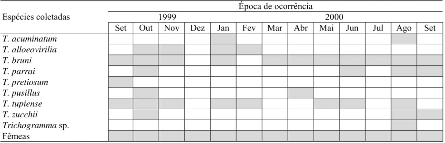 Tabela 2. Época de ocorrência das espécies de Trichogramma coletadas em armadilha de sucção elétrica (estacionária) no Horto Florestal de Tupi, Piracicaba-SP, setembro/1999 a setembro/2000.