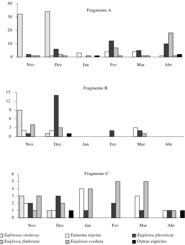 Figura 3. Abundância mensal de machos das espécies mais comuns de Euglossina às iscas-odores nos três fragmentos florestais estudados, no período de novembro de 2001 a abril de 2002