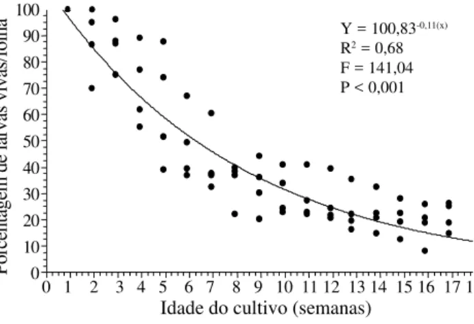 Figura 4. Porcentagem de larvas vivas (sem controle) de L. huidobrensis após liberações de indivíduos adultos de D.