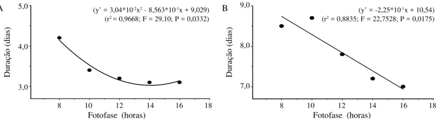 Figura 2. Duração das fases de pré-pupa (A) e pupa (B) de C. externa em função de diferentes fotoperíodos.