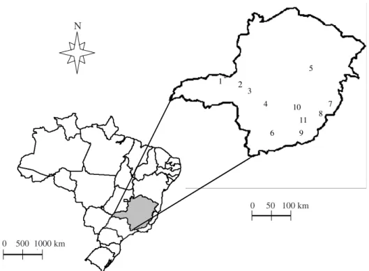 Figura 1. Locais de coleta de populações de L. coffeella. Os números correspondem aos municípios da Tabela 1.