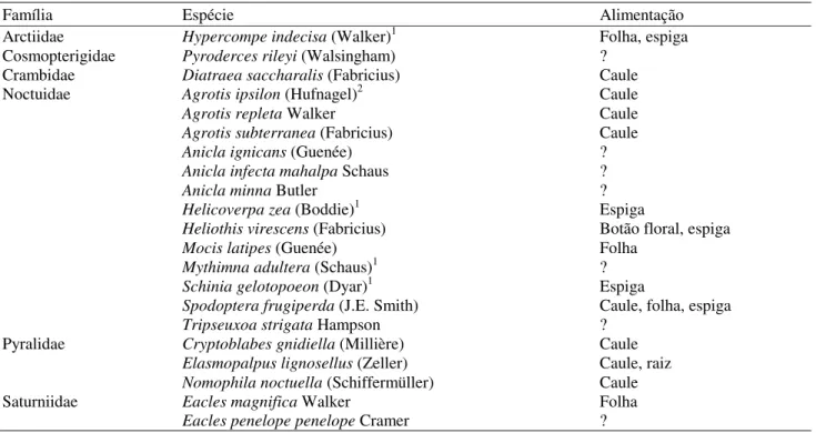 Tabela 1. Espécies conhecidas de Lepidoptera cujas larvas se alimentam da cultura do milho no Brasil (modificada de Silva et al