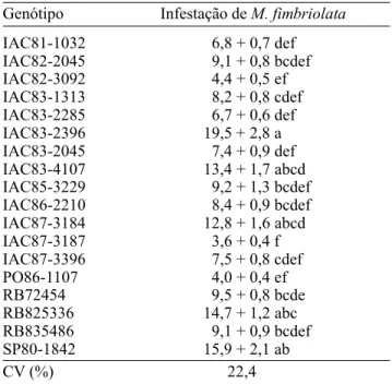 Tabela 5. Infestação de M.  fimbriolata (ninfas + adultos /m de sulco) em genótipos de cana-de-açúcar (médias de três épocas de colheita e quatro datas de amostragem)