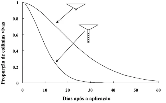 Figura 1. Curva de sobrevivência das colônias de cupins de montículo tratadas com imidaclopride utilizando-se dois tipos de funil aplicador