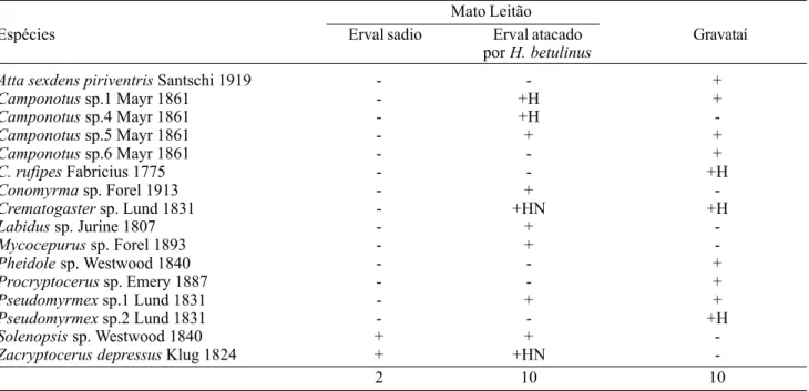 Tabela 1. Formicídeos encontrados em plantas adultas de I. paraguariensis em três áreas de cultivo no Rio Grande do Sul.