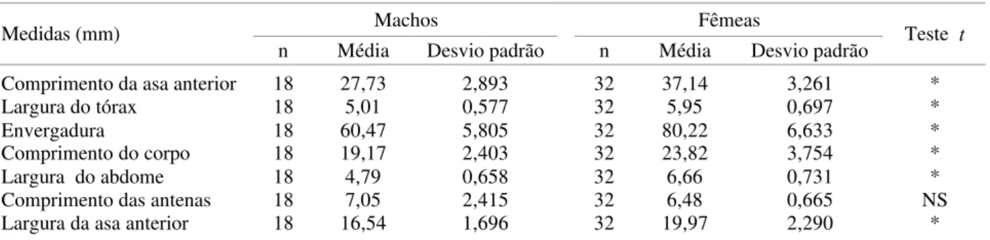 Tabela 4. Medidas de adultos de L. obliqua em laboratório.