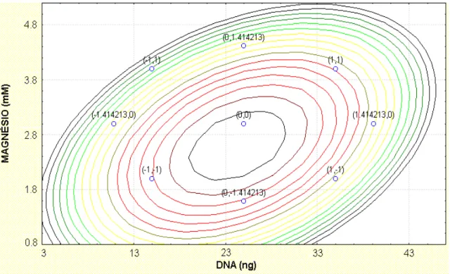 Figura 3. Superfície de resposta do padrão de PCR-RAPD em função das concentrações de MgCl 2  e quantidade de DNA.