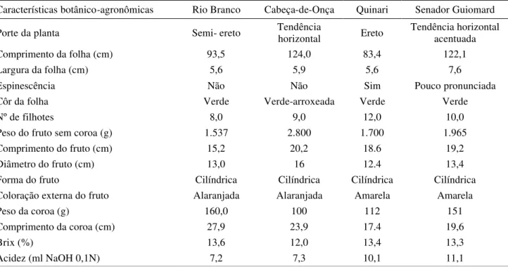 Tabela 1. Principais características botânico-agronômicas da cultivares Cabeça-de-onça (RBR-2), Senador Guiomard (SNG-3), Quinari (SNG-2) e Rio Branco (RBR-1), lançadas pela Embrapa Acre.