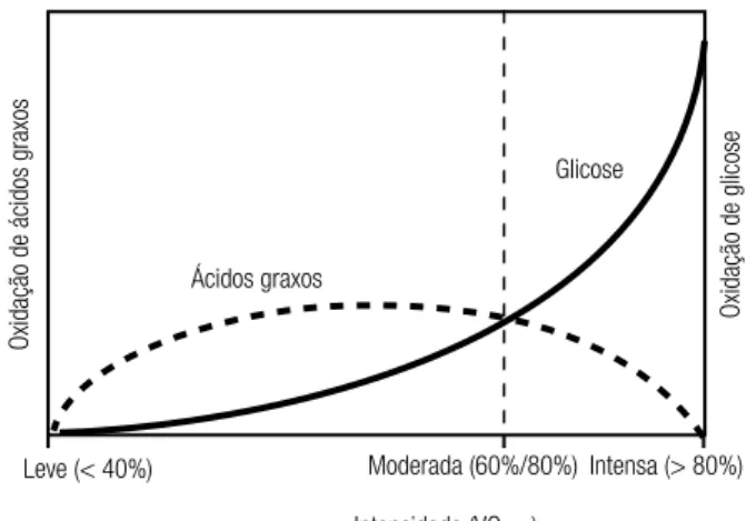 Figura 4. Efeito da intensidade de exercício no consumo de glicose e  ácidos graxos. Os valores são relativos da cinética de consumo de glicose  e ácidos graxos pelo músculo esquelético durante contrações