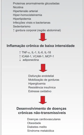 Figura 1.  Relação entre o processo inflamatório crônico e o  desenvolvimento de doenças crônicas.