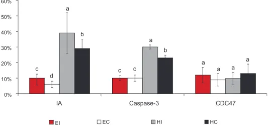 Figura 5.  Porcentagem de células com características de apoptose em relação ao núme- núme-ro total de células/campo (índice apoptótico) e porcentagem de células com expressão  de caspase-3 e de CDC-47 em relação ao número total de células/campo (média ± S