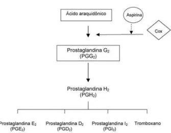 Figura 1. Síntese de prostaglandinas e tromboxano pela via de ciclooxigenase (Cox) e mecanismo de ação da aspirina.