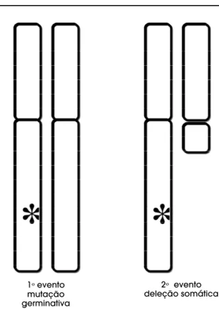 Figura 2. Teoria dos dois eventos de Knudson: A expressão fenotípica da mutação germinativa somente é  evidencia-da após deleção somática no segundo alelo.