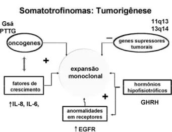 Figura 3. Principais eventos relacionados à tumorigênese somatotrófica.
