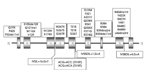 Figura 2. Organização dos 9 éxons e 8 íntrons do gene CY11B1. São mostradas as mutações encontradas em pacientes com hiperplasia congênita da adrenal por deficiência de 11 -hidroxilase (Human Gene Mutation Database – http://uwcmml1s