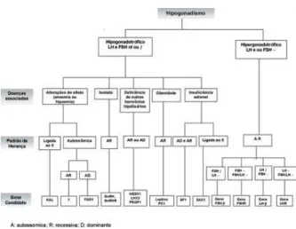 Figura 1. Fluxograma para diagnóstico de hipogonadismo.