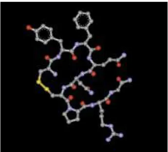 Figura 1. Estrutura tridimensional da molécula do Hormônio Antidiurético (ADH). Os carbonos estão representados na cor cinza, os hidrogênios na cor branca, os oxigênios na cor vermelha, os nitrogênios na cor azul e as pontes di-sulfeto em amarelo