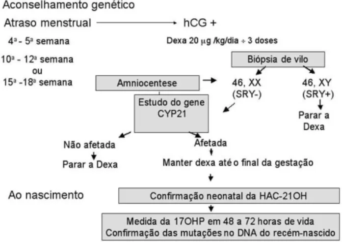 Figura 4. Diagrama da conduta diagnóstica e terapêutica em gestações de risco para a HAC -21OH.