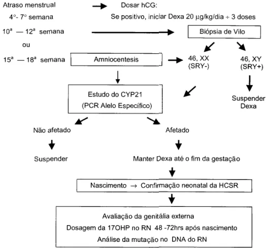 Figura 1. Esquema de tratamento pré-natal da HSRC-21OH