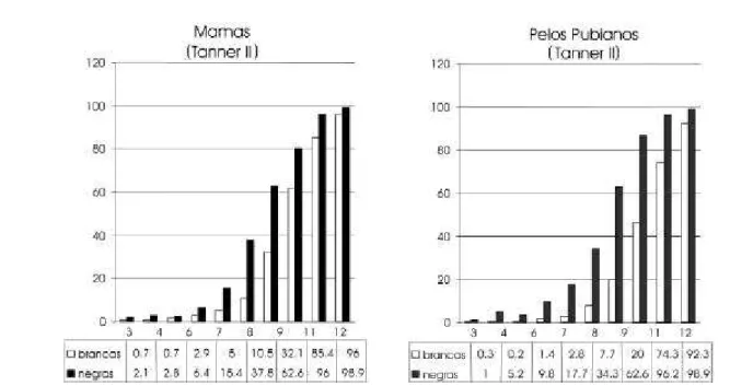 Figura 2. Porcentagem de meninas manifestando características puberais (mamas ou pêlos pubianos) de acordo com a idade cronológica e etnia