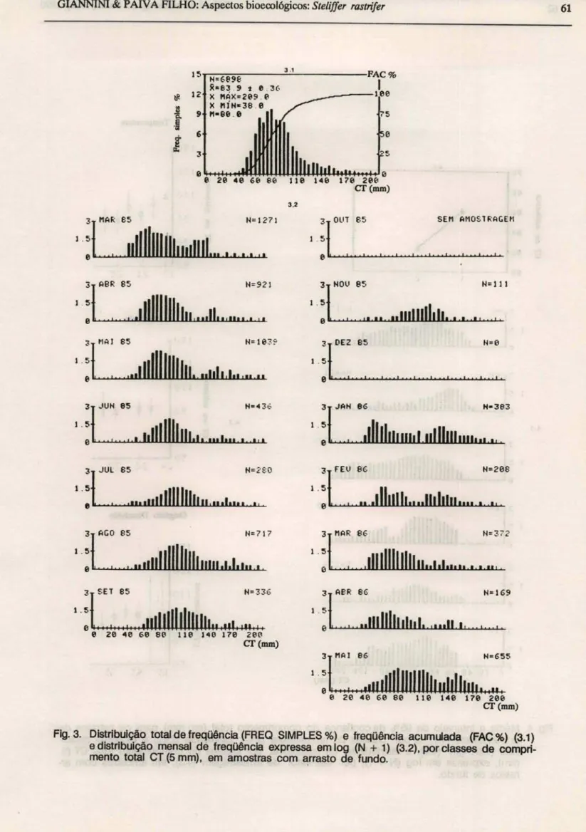 Fig. 3.  Distribuição  total de freqüência (FREQ  SIMPLES  %)  e  treqüência  acumulada  (FAC  %)  (3.1)  e distribuição  mensal  de  freqüência  expressa  em log  (N  +  1)  (3.2), por classes  de   compri-mento  total  CT (5 mm),  em  amostras  com  arra