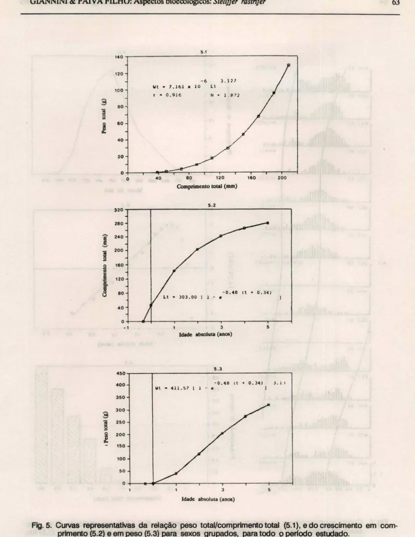 Fig. 5.  Curvas  representativas  da  relação  peso  total/comprimento total  (5.1), e do crescimento  em  com- com-primento (5.2) e em peso (5.3) para  sexos  grupados,  para todo  o perlodo  estudado