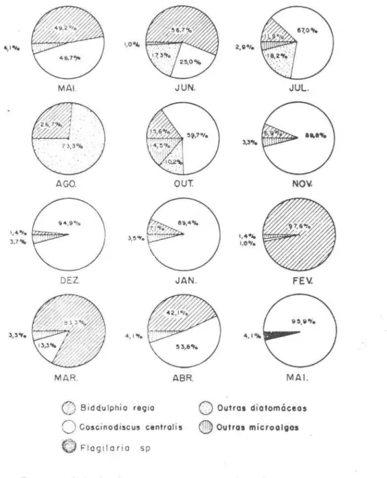 Fig.  4  - Principais  componentes  do  microfitoplancton, ocorren- ocorren-tes  na  estação  'SlI,  durante  o  período  de  maio/73  Q  maio/ 