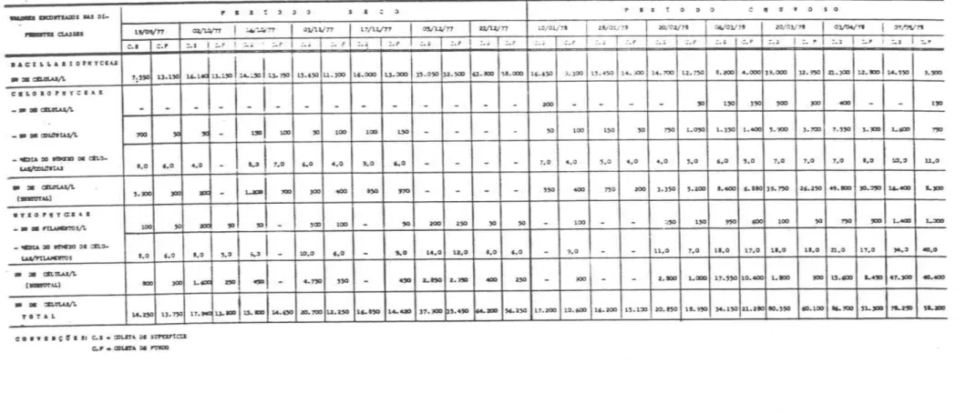 Tabela 11  - Valores do número de  células por litro. nas diferentes classes de  fitoplâncton no estuário do  Rio  Curú, por dia de  amostragem e  tipo de  coleta 