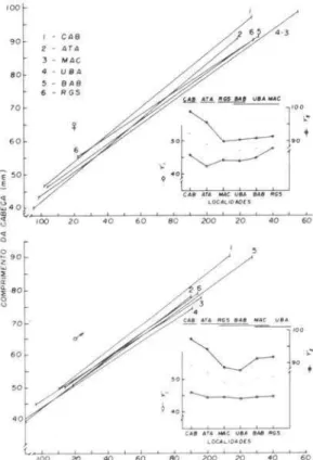 Fig.  5  - Regressão  linear  do  comprimento  da  cabeça  sobre  o  comprimento  do  tronco