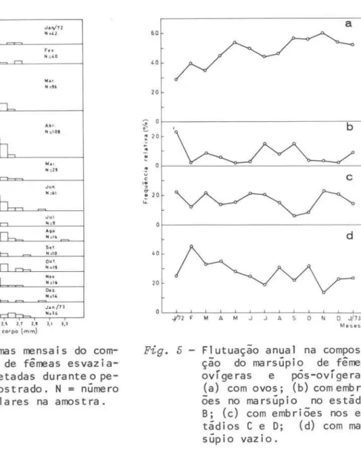 Fig.  4  - Histogramas  mensais  do  com- com-primento  de  fêmeas   esvazia-das,  co] etadas  durante o   pe-ríodo  amostrado