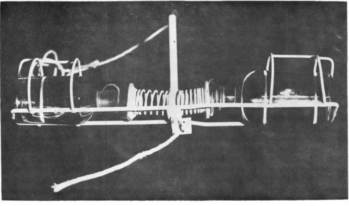 Fig.  6  - Fotografia  mostrando  um  dos  tipos  de  suporte  para  frascos  ex- ex-perimentais  utilizados  para  o  processo  da  incubação  &#34;in  situ&#34; 
