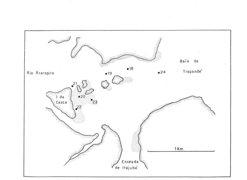 Fig.  3  - Posição  das  estações  realizadas  próximas  da  Ilha  da  Casca,  no  Ararapira