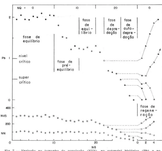 Fig.  7  - Variação  no  tam a nho  da  população  (NVS),  no  potencial  biológico  (Pb)  e  no  número  de  r ecrutas  (NN)  com  o  a um ento  do  número  de  captura s  (NQ) 