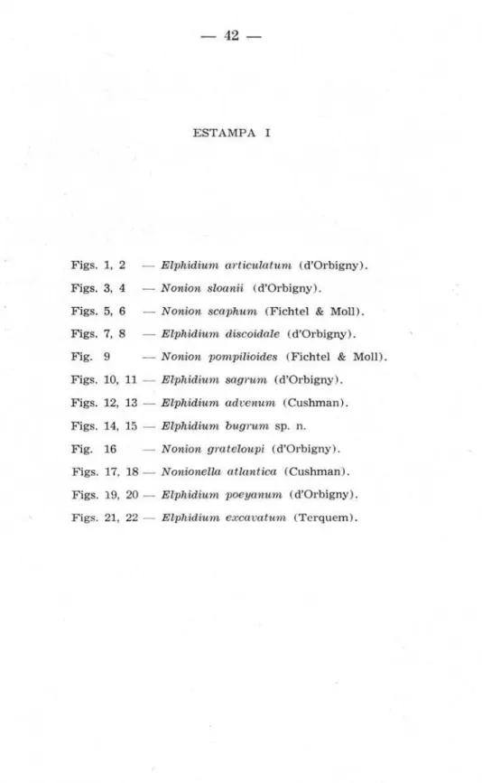 Fig.  9  - Nonion  pompilioides  (Fichtel  &amp;  Moll) .  Figs.  10,  11  - Elphidium  sagrum  (d'Orbigny)