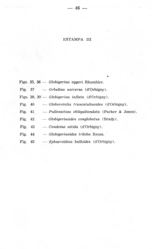 Fig.  37  Orbulina  un'iv ersa  (d'Orbigny) .  Figs.  38,  39  - Globigerina  in/lata  (d'Orbigny)