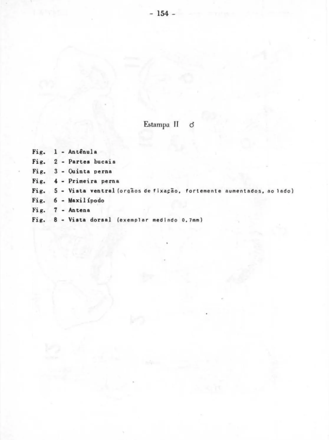 Fig.  1  - Antênula  Fi g.  2  - Partes  bucai  s  Fig.  3  - Ouinta  perna  Fig.  4  - Primeira  perna 
