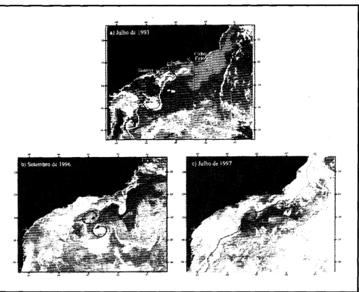 Fig. 13. Imagens AVHRR da região Sudeste do Brasil: (a) julho de 1993; (b) setembro de 1996; (c) julho de 1997.