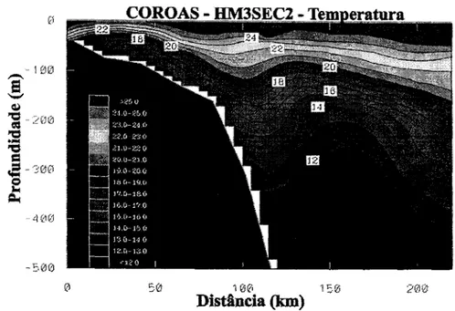 Fig. 14. Seção de temperatura ao largo da ilha de São Sebastião do Projeto COROAS (WOCE-Brasil) durante o verão de 1994