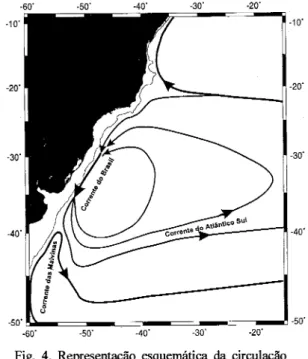 Fig. 4. Representação esquemática da circulação no Oceano Atlântico Sudoeste ao nível de 250 m