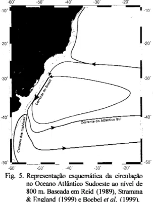 Fig. 5. Representação esquemática da circulação no Oceano Atlântico Sudoeste ao nível de 800 m