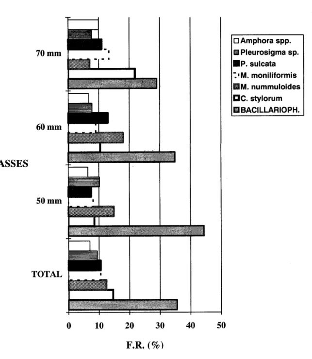 Fig. 11. Freqüência numérica relativa dos principais itens alimentares de Cetengraulis edentulus no total de espécimes e por três classes de comprimento.