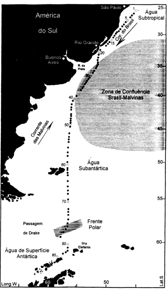 Fig. 1. Mapada região estudada no Oceano Atlântico Sul Ocidental, mostrando a rota do navio &#34;Barão de Teffé&#34;