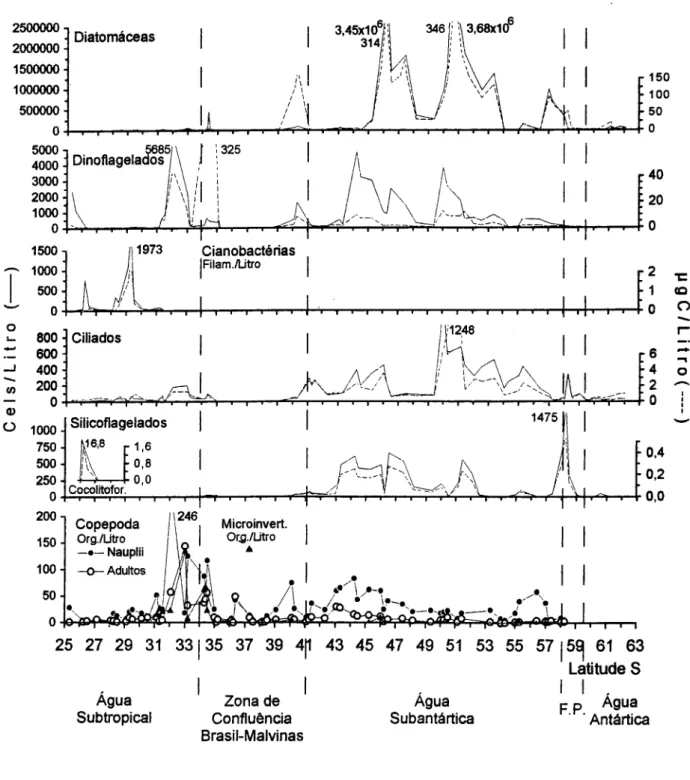 Fig. 3. Distribuição latitudinal da biomassa (llgC/I) e densidade (cels/l) dos principais grupos do microplâncton em águas superficiais do Oceano Atlântico Sul Ocidental (45°W-58°W) em novembro de 1992