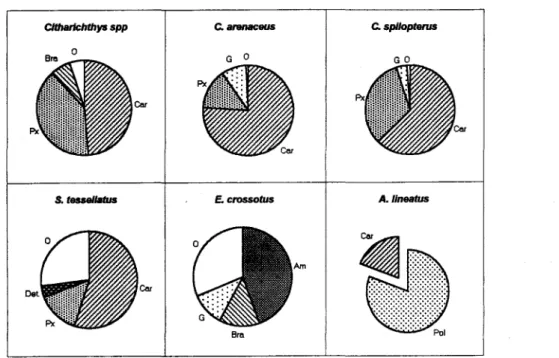 Fig. 3. Categorias com maior valor de Índice de Preponderância na análise de conteúdo estomacal