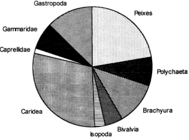 Fig. 5. Representação gráfica dos valores de participação global de 9 itens na dieta da assembléia, relativamente à densidade de cada espécie.