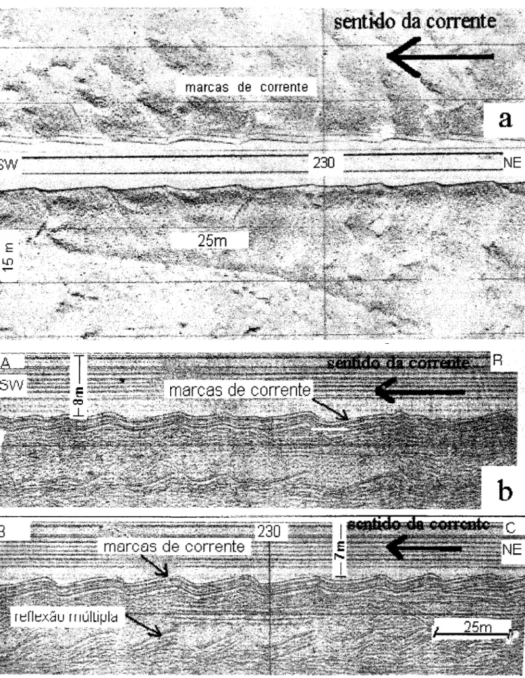 Fig. 4. Marcas de corrente na superfície de fundo do canal (Souza, 1995): a) registro do sonar de varredura lateral;