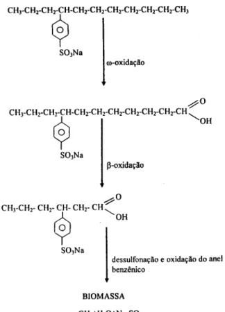 Fig. 2. Esquema simplificado da biodegradação do ASSL.