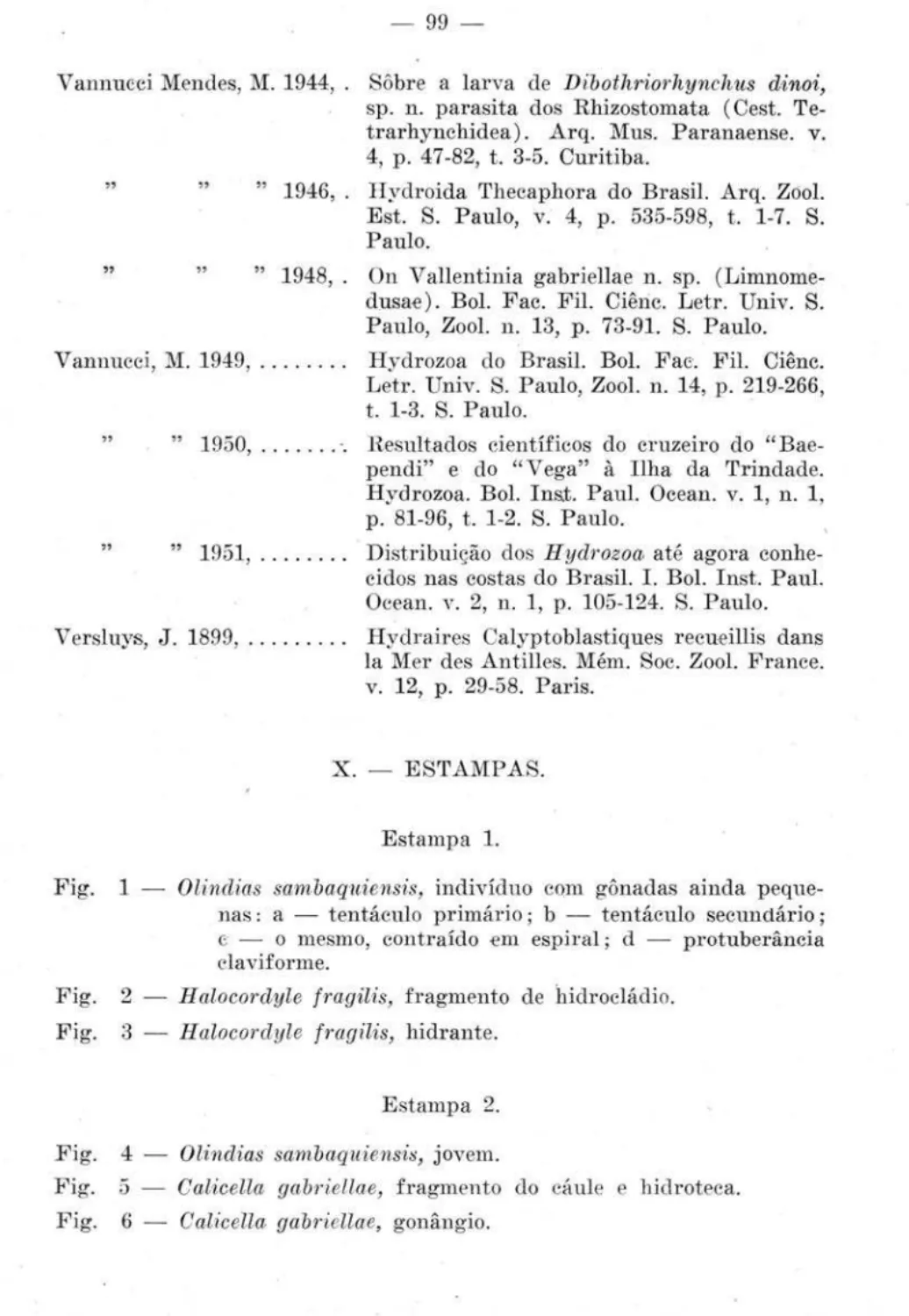 Fig.  1  - Olindias  sambaquiensis,  indivíduo  cQm  gônadas  ainda  peque- peque-nas:  a  - tentáculo  primário;  b  - tentáculo  secundário; 
